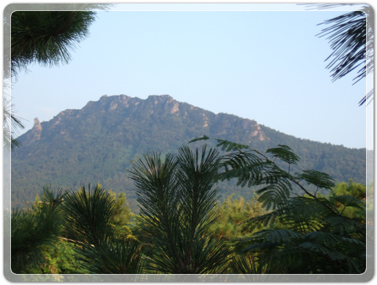 313ad5e16e47e5b2aafd221c466cac42_1471176