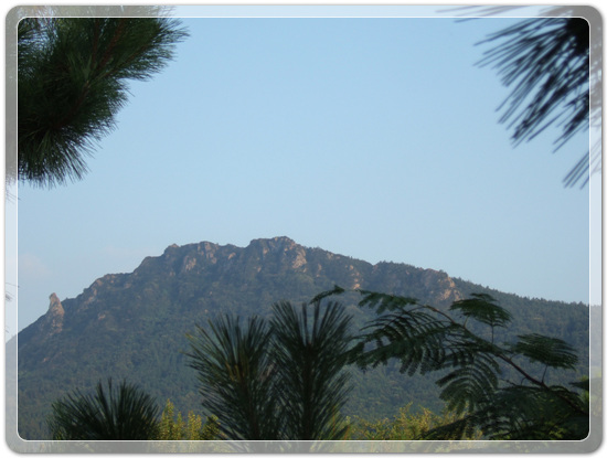 313ad5e16e47e5b2aafd221c466cac42_1471176