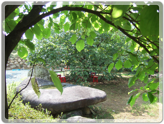 35aa7fe213fd32fe99287efd86864149_1471268