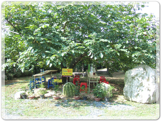 35aa7fe213fd32fe99287efd86864149_1471268