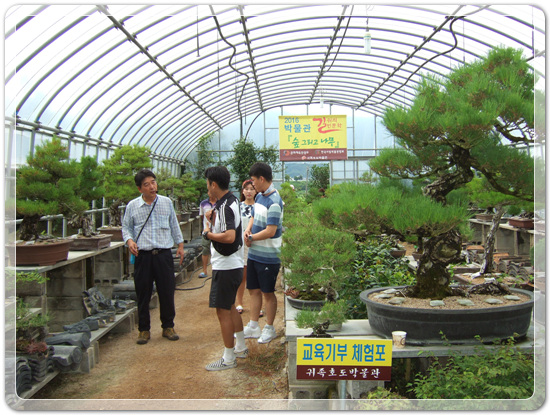 35aa7fe213fd32fe99287efd86864149_1471268