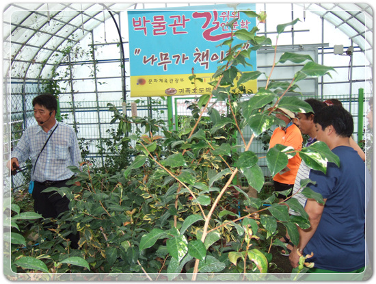 35aa7fe213fd32fe99287efd86864149_1471268