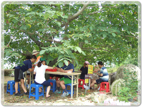 35aa7fe213fd32fe99287efd86864149_1471268