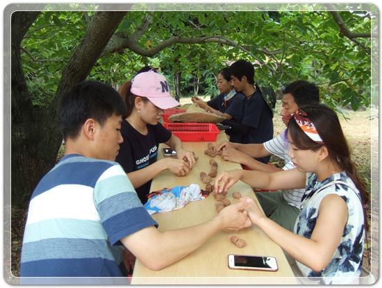 35aa7fe213fd32fe99287efd86864149_1471268