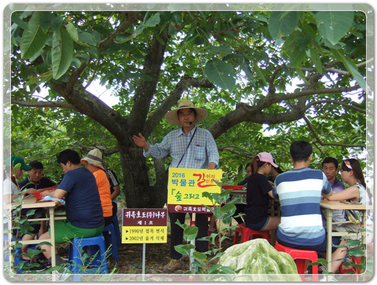 35aa7fe213fd32fe99287efd86864149_1471268