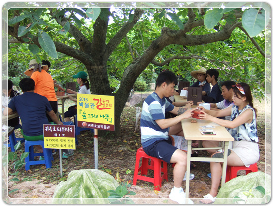 35aa7fe213fd32fe99287efd86864149_1471268