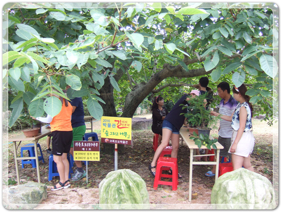 35aa7fe213fd32fe99287efd86864149_1471268