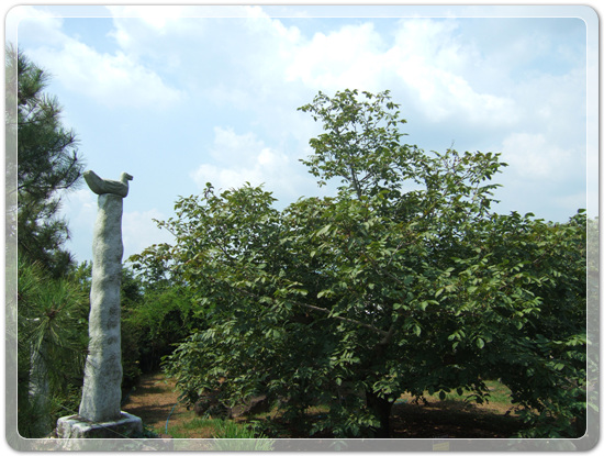 37ccc7c6a20d71d2bf2646ff6027d750_1471865