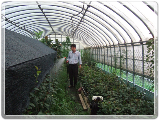 37ccc7c6a20d71d2bf2646ff6027d750_1471865