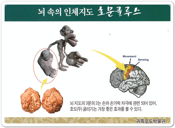 41556763d7f1757d4e38e02e4e5627b6_1470910