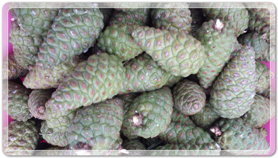 41556763d7f1757d4e38e02e4e5627b6_1470913