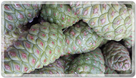 41556763d7f1757d4e38e02e4e5627b6_1470913