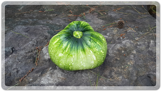 41556763d7f1757d4e38e02e4e5627b6_1470913