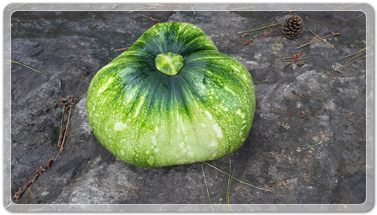 41556763d7f1757d4e38e02e4e5627b6_1470913