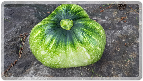 41556763d7f1757d4e38e02e4e5627b6_1470913