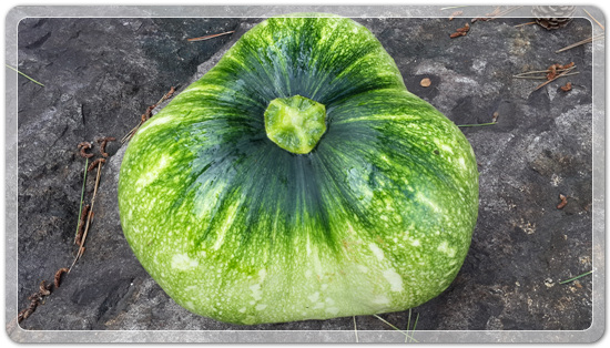 41556763d7f1757d4e38e02e4e5627b6_1470913