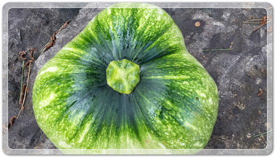 41556763d7f1757d4e38e02e4e5627b6_1470913