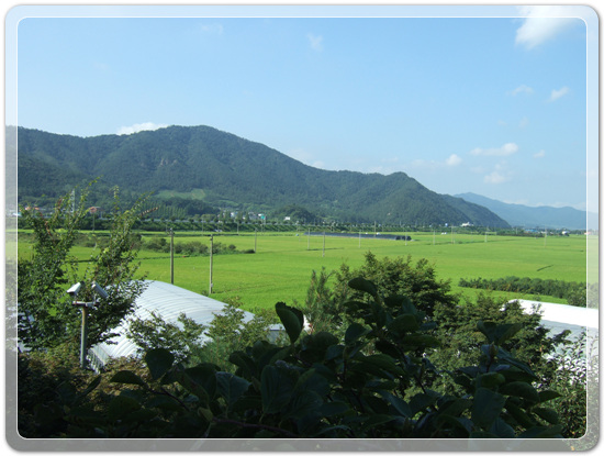 47f0d4b0002624ff15cb131fbfe1d6ed_1471612