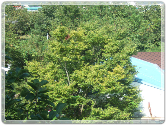 47f0d4b0002624ff15cb131fbfe1d6ed_1471615