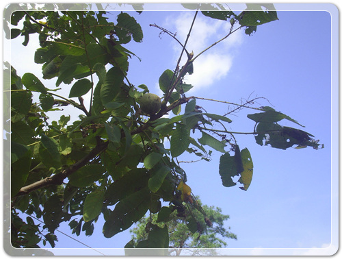 545e6d9c4d7b9bf287413c44cd22d2f7_1470008