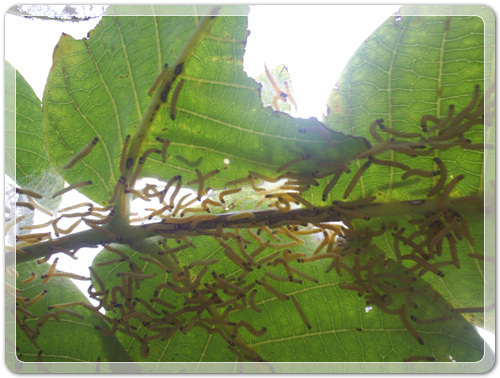 545e6d9c4d7b9bf287413c44cd22d2f7_1470008