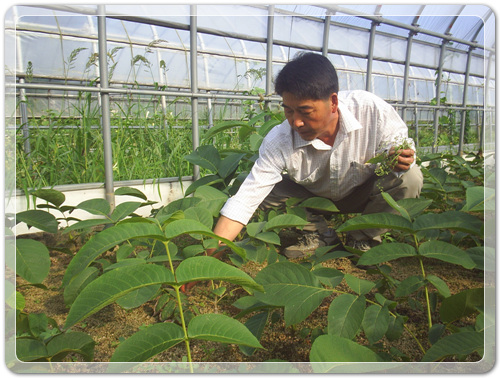 545e6d9c4d7b9bf287413c44cd22d2f7_1470008