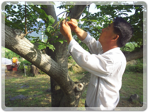 545e6d9c4d7b9bf287413c44cd22d2f7_1470008