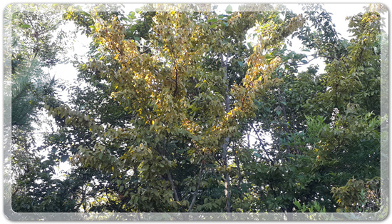 56018a96360fa1ce794dd0a207dedee5_1472076