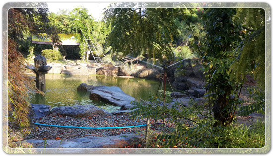 56018a96360fa1ce794dd0a207dedee5_1472077