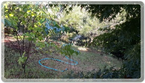 56018a96360fa1ce794dd0a207dedee5_1472077