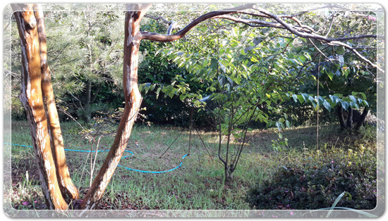 56018a96360fa1ce794dd0a207dedee5_1472077