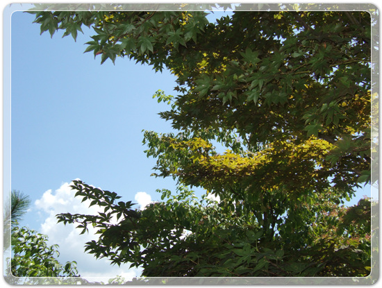 56018a96360fa1ce794dd0a207dedee5_1472130