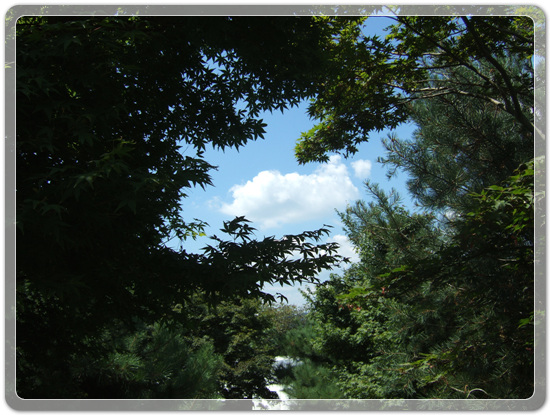 56018a96360fa1ce794dd0a207dedee5_1472130