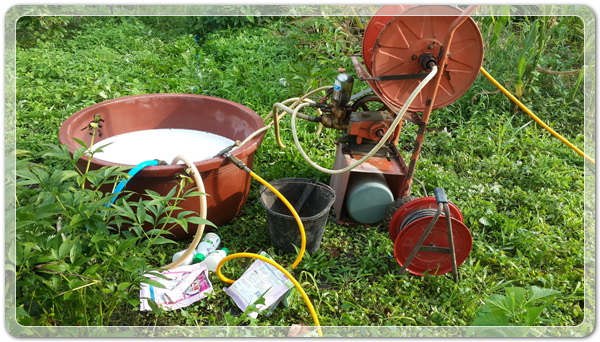 6501247d1b3c57edd626d9dea7d84d1f_1470141