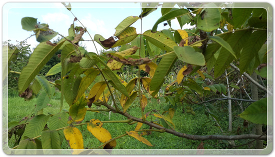 87fad546b3644605223dc1fd97104271_1471350