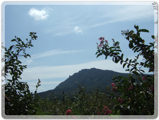 87fad546b3644605223dc1fd97104271_1471350