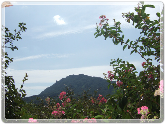 87fad546b3644605223dc1fd97104271_1471350