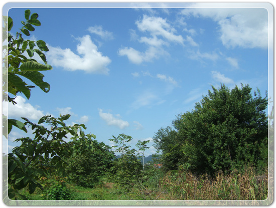 87fad546b3644605223dc1fd97104271_1471350