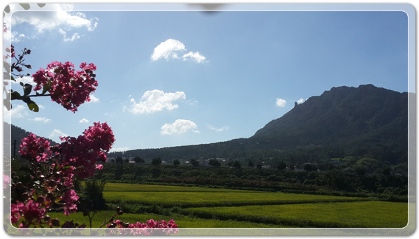 906027158da0a3ccc41168ad7efe295f_1472648