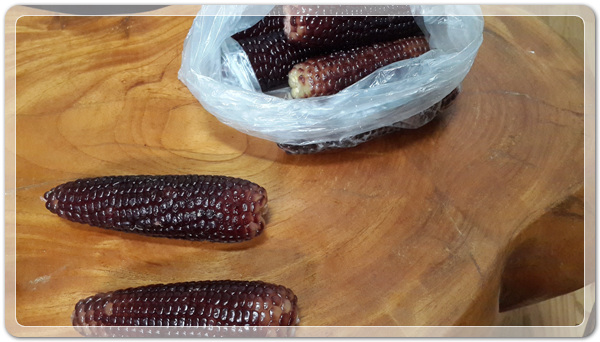 906027158da0a3ccc41168ad7efe295f_1472649