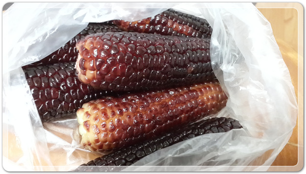 906027158da0a3ccc41168ad7efe295f_1472649