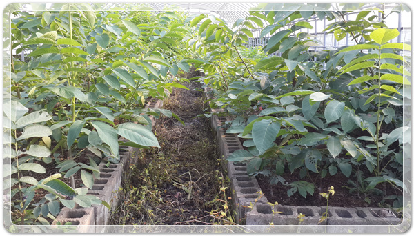 906027158da0a3ccc41168ad7efe295f_1472649