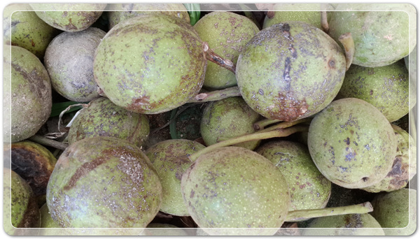 906027158da0a3ccc41168ad7efe295f_1472649