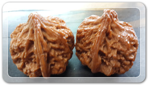 906027158da0a3ccc41168ad7efe295f_1472649