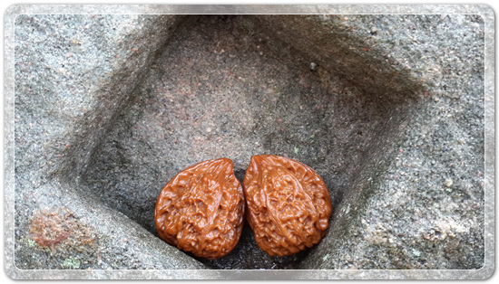 9cc7cb279b365e85068ec5f98bb163a3_1470602