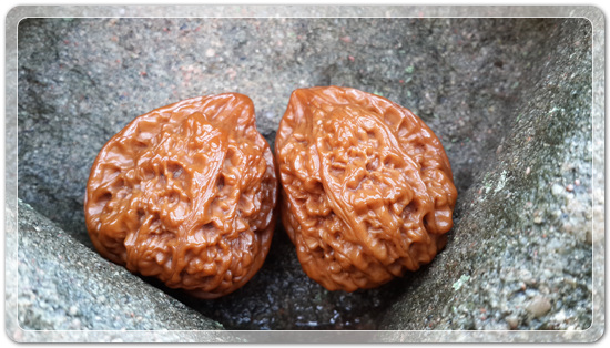 9cc7cb279b365e85068ec5f98bb163a3_1470602