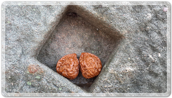 9cc7cb279b365e85068ec5f98bb163a3_1470602