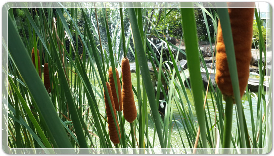 9cc7cb279b365e85068ec5f98bb163a3_1470602