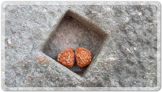 9cc7cb279b365e85068ec5f98bb163a3_1470602