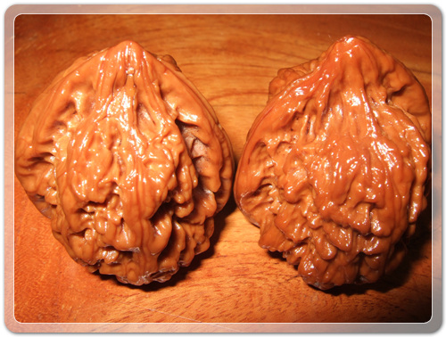 a5f89afaf8185d2e8a5046d043781878_1472389